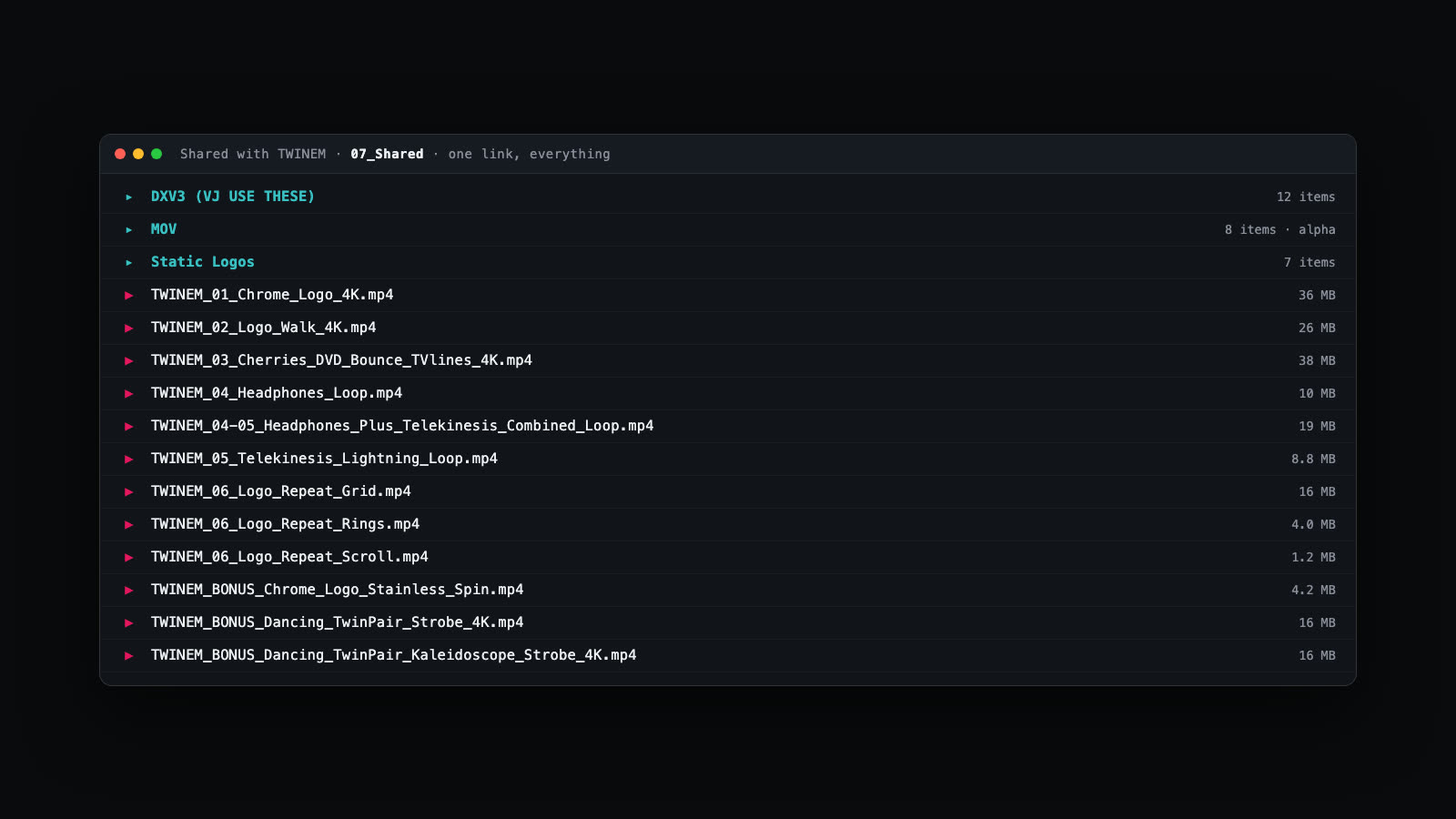 The shared delivery folder: every loop cleanly named with sizes, DXV3, MOV alpha, and static logo subfolders